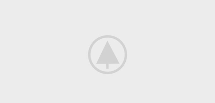 wood-gallery-placeholder-4 wood-gallery-placeholder-4