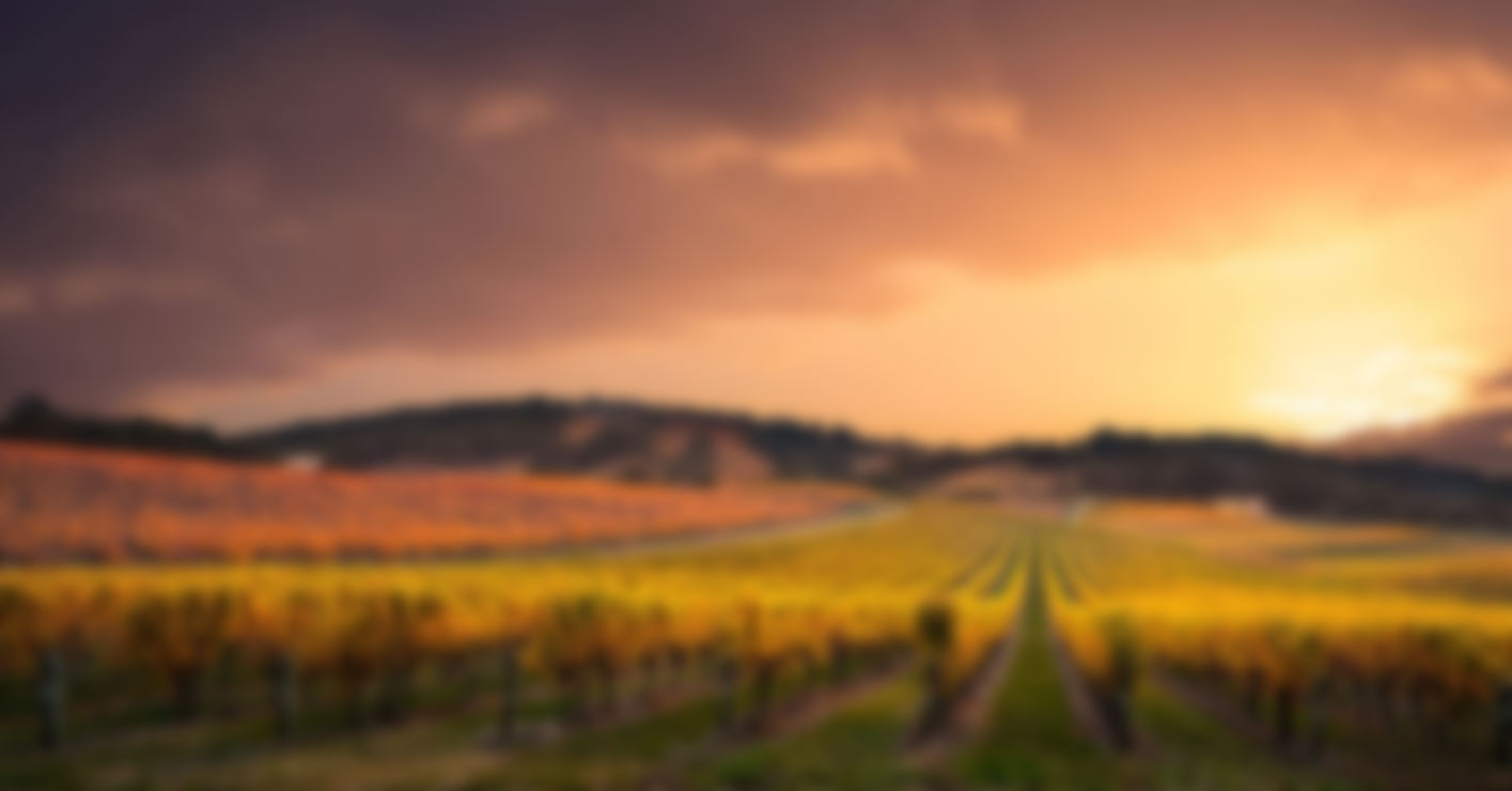 Home Wine